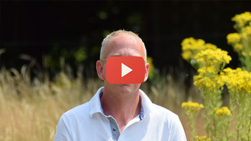 Die Einladung des Engel Nathaniel